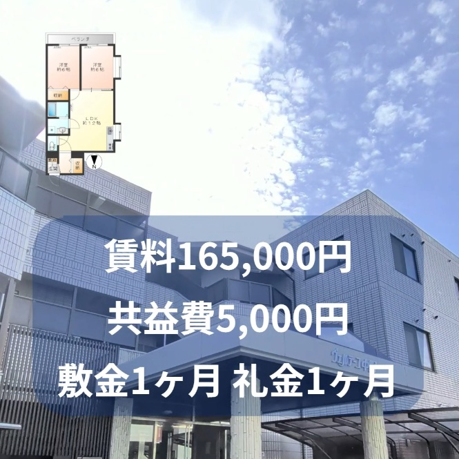 Instagram 最新投稿サンプル